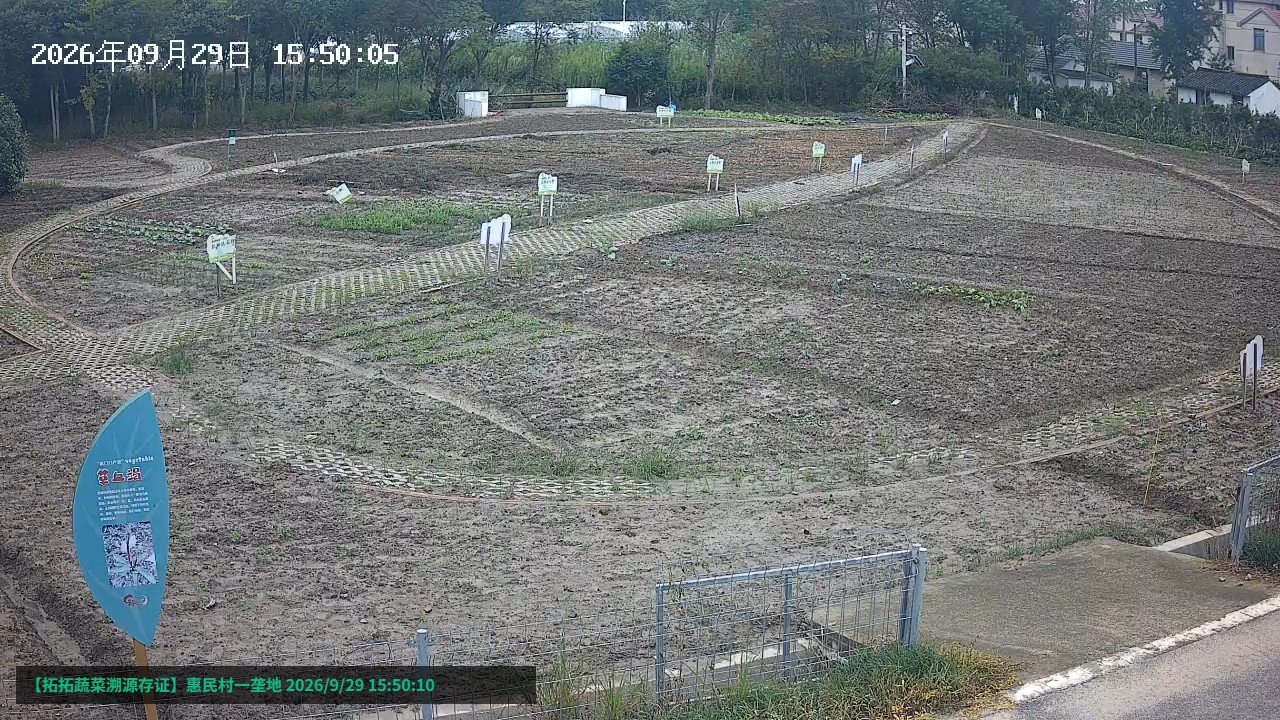 一垄地露天示范菜田 M1~M31 地块分布图